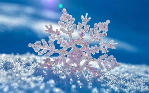 Snowflake Wallpaper HD Free Download