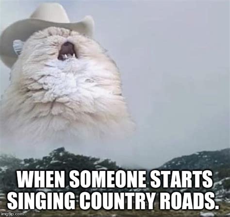 Country Roads Cat Memes - Imgflip