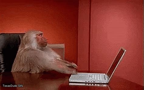 Monkey Computer GIF - Monkey Computer - Discover & Share GIFs