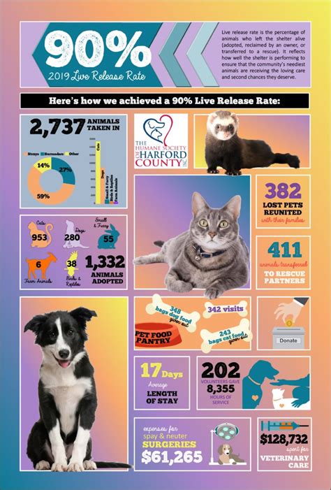 Shelter Statistics | The Humane Society of Harford County