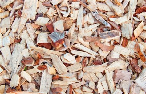 What Color Mulch Should You Use, and What Kind?