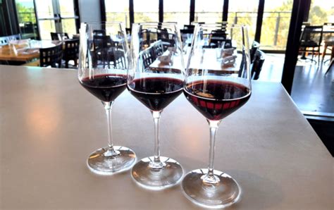 Wine Curiosity Takes Flight at our Wine Bar in Denver