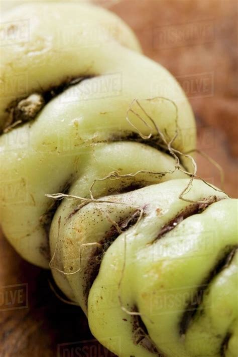 An oca tuber (Oxalis tuberosa, close-up) - Stock Photo - Dissolve