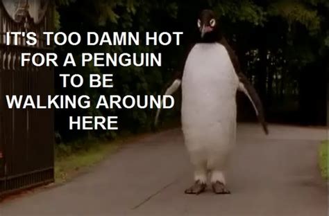 Billy Madison Penguin Quotes. QuotesGram