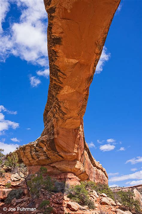 Natural Bridges National Monument – Joe Fuhrman Photography