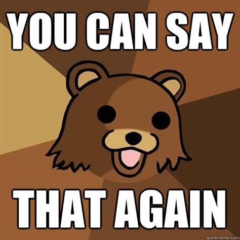 YOU can say that again - Pedobear - quickmeme