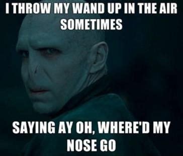 Pin by Gigi Wynne on Funny | Harry potter pictures, Harry potter funny ...