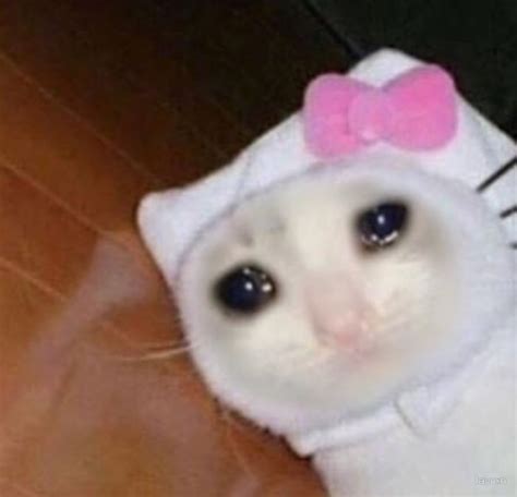 Cat Crying Meme Hearts