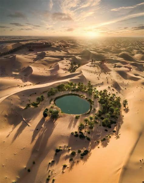 This is what a Desert Oasis looks like, if you have never seen one. : r ...