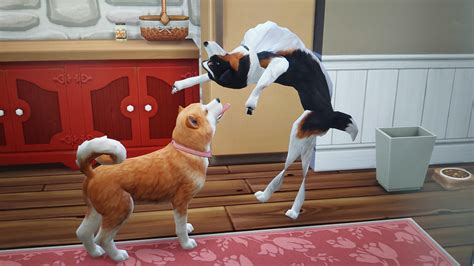 What the hell happened to my dog?? : r/Sims4