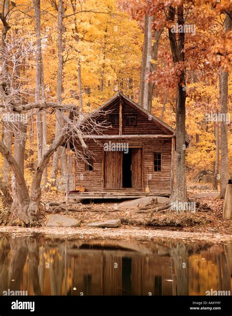 WOODS FOREST CABIN HOUSE SECLUDED LAKE Stock Photo - Alamy