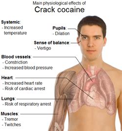 Signs of Crack Addiction - Crack Rehabilitation Centers Crack ...