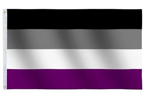 Large Asexual Pride Flag