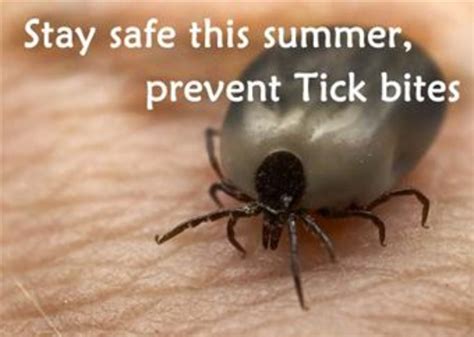 Tick bite care, prevention > Osan Air Base > Article Display