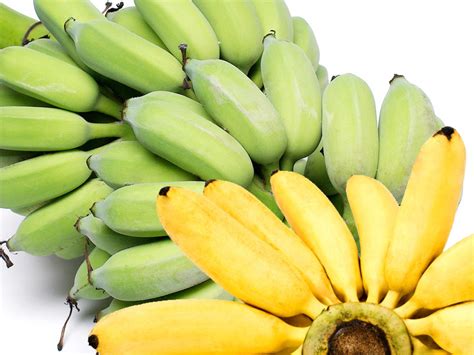 10 Types of Bananas in India - Info, Pictures and Names