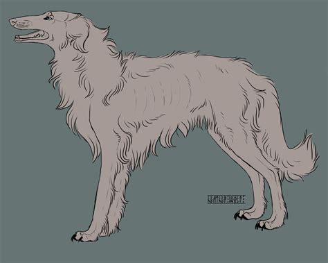 Free Russian Borzoi lineart by HeatherWolf on DeviantArt