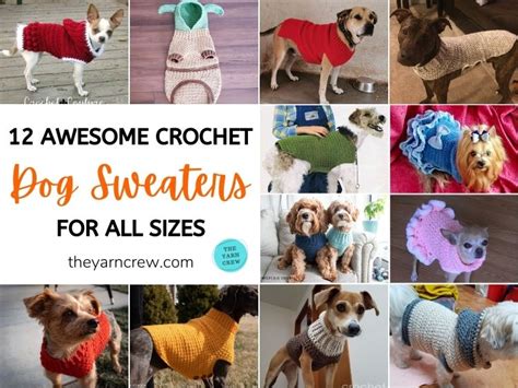 12 Awesome Crochet Dog Sweaters For All Sizes - The Yarn Crew