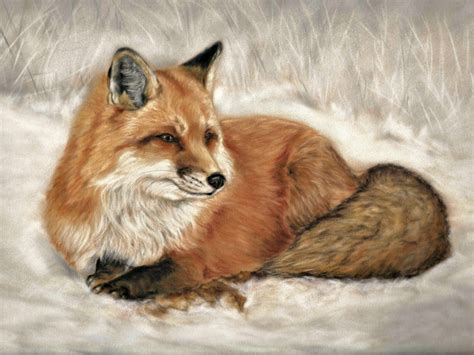 Fox Art Original Art Print Fox in Snow Animal Painting - Etsy