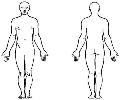 Blank Body Diagram & Outline Of Human Body Clipart Clipartfest ...