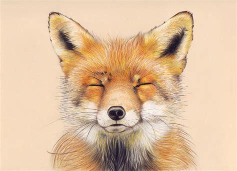 Fox - Drawing Skill - Page 2