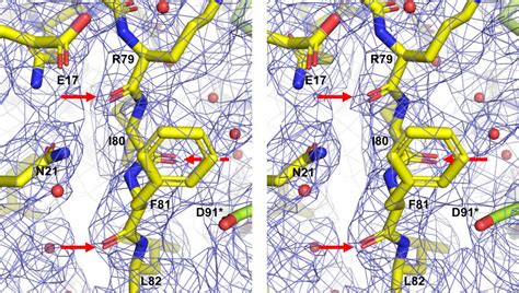 Our paper on the apoferritin structure is accepted in PLOS one ...