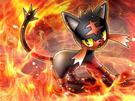 Litten - Litten is Lit Fan Art (40333184) - Fanpop