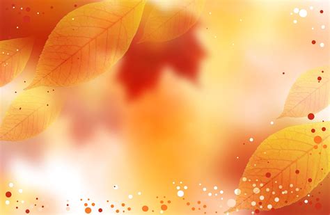 Free Autumn Background Images | Fall wallpaper, Fall background ...