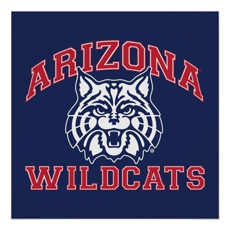 The University of Arizona | Wildcats Poster | Zazzle.com in 2022 ...