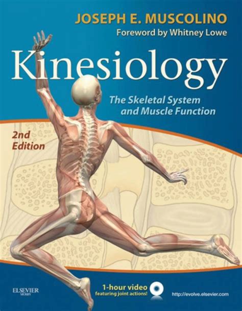 Kinesiology (ebook)