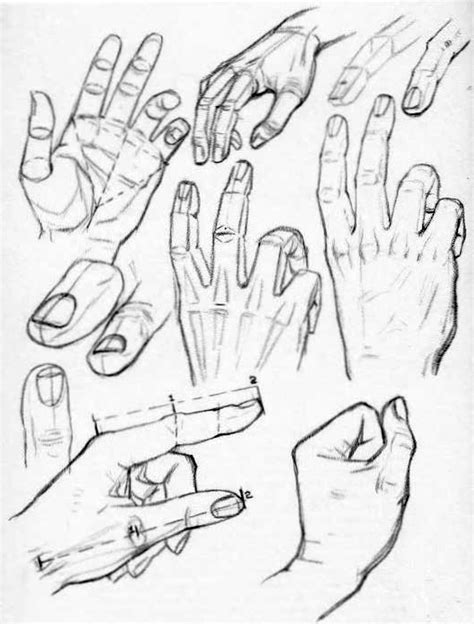 How to Draw Hands – Reference Sheets and Guides to Drawing Hands – How ...