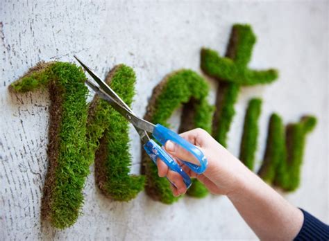 Make moss graffiti - Green Prophet