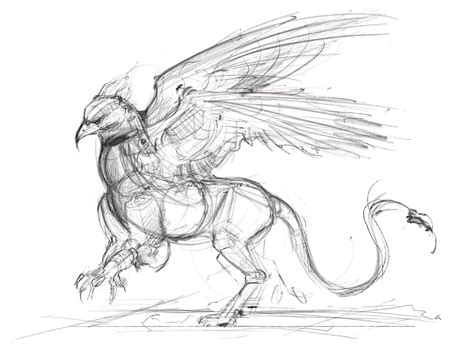 Griffin Concept Sketch- WIP! : r/drawing