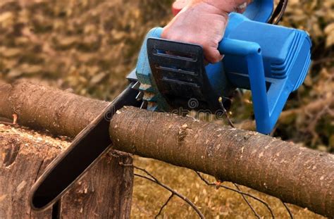 Man with Chainsaw Cutting the Tree. Stock Photo - Image of hand ...