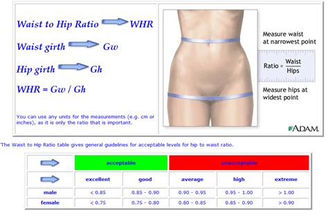 Waist to Hip Ratio Chart | Weights workout, Body health, Natural skin ...