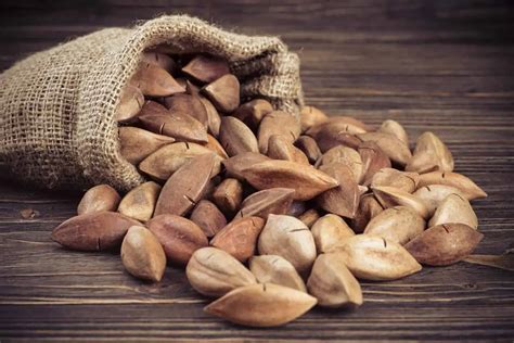 Pili Nuts: Benefits, Uses, and Nutrition of This Superfood