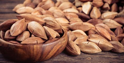 Pili Nuts Benefits, Nutrition Facts, Recipes and More - Dr. Axe