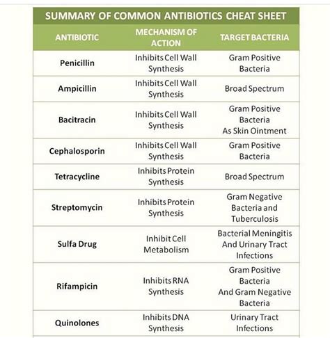 Pin by Danielle Todd on Nurse | Antibiotics nursing, Gram positive ...