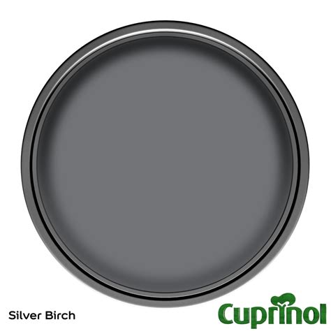 Cuprinol Garden Shades Paint Silver Birch - 5L | Homebase