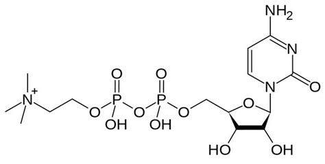 CDP-Choline – Nootropics Expert