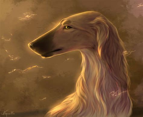 Borzoi by Noquelle on DeviantArt