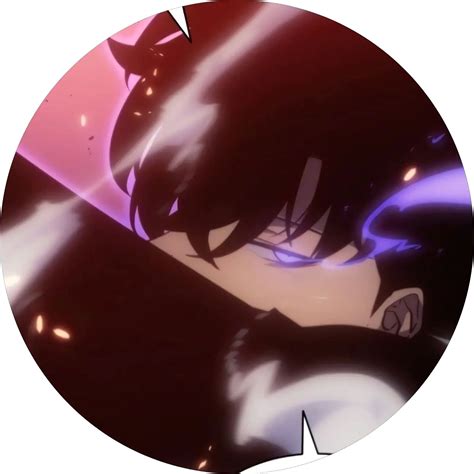 Solo Leveling PFP Collection(Anime Edition)