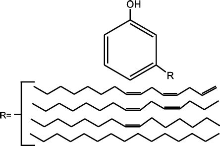 Structural representation of cardanol components. | Download Scientific ...