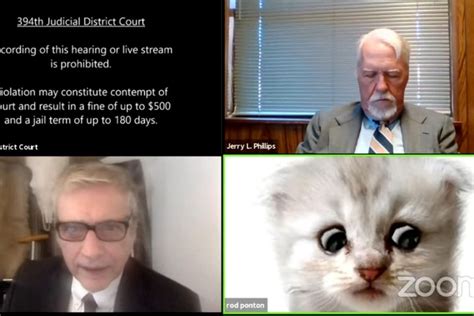 'I'm Not a Cat': Lawyer on Zoom Call Failed to Disable Filter, Twitter ...