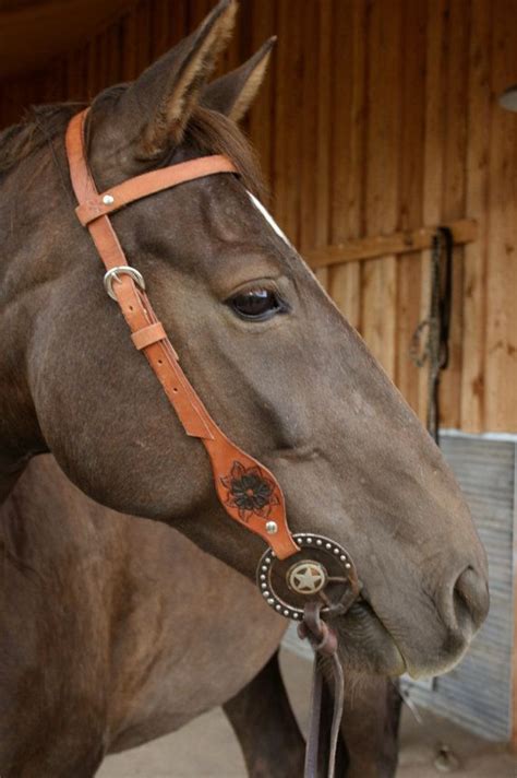 Tooled leather horse bridle leather with tooled by TravelingW, $33.50 ...