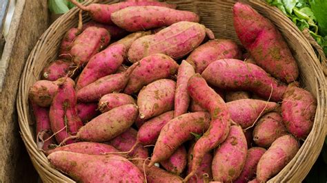 5 Surprising Benefits Of Eating Sweet Potatoes For Overall Health