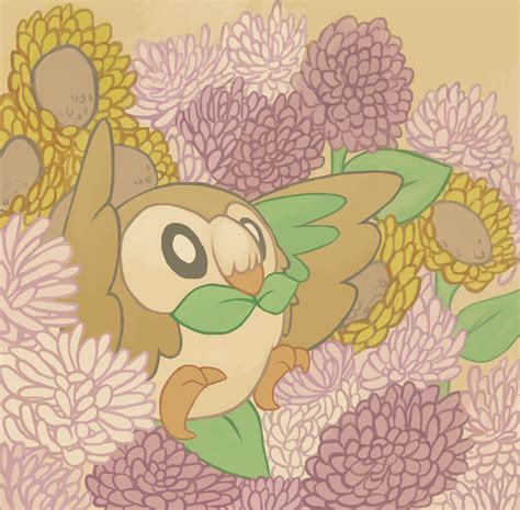 Rowlet by NagoshiAshumari on DeviantArt