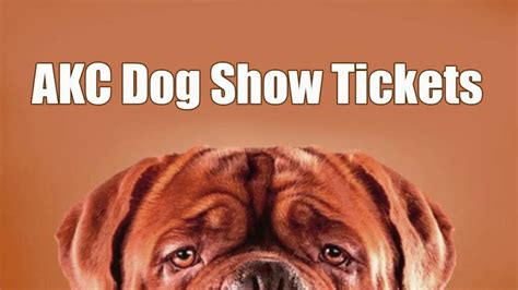 How to Buy Tickets for the 2023 AKC Dog Show - Let's Know - Dog Show TV