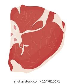 Vector Illustration Human Heart Anatomy 2d Stock Vector (Royalty Free ...