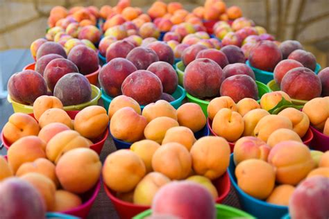 Taste the Sunshine: A Farmers Market Guide to Stone Fruit : Foodwise