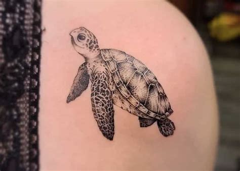 Turtle Tattoo Meaning and Symbolism [2024 Guide]